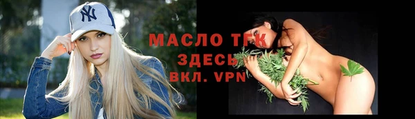 дживик Пересвет