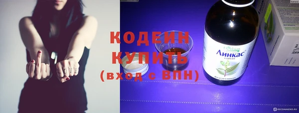 дживик Пересвет