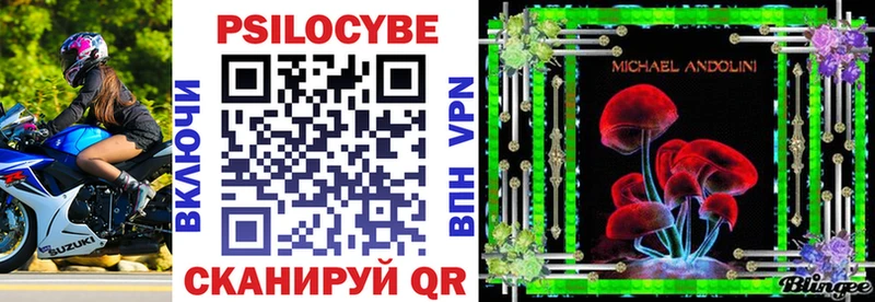 Галлюциногенные грибы Psilocybe  где купить наркоту  Пролетарск 